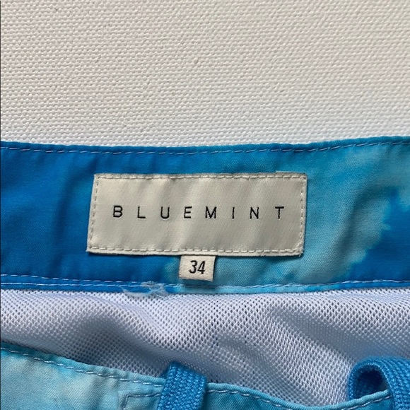 Bluemint Swim Trunks - Picture 2 of 5